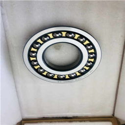 黎平縣SKF軸承 探究RNA49 68U型號的卓越品質與瑞典血統